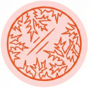 frost icon